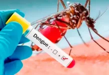 Salud Pública informó un caso de dengue en la ciudad de Salta