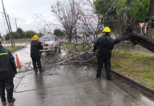 Tras la lluvia de anoche, el Sistema de Emergencias 105 intervino en 16 incidentes en Salta