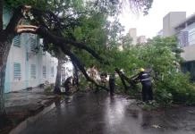 Se registraron incidentes durante la tormenta en Salta