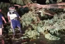 Asistencia de Seguridad a damnificados por el temporal en localidades del norte salteño