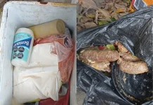 La Municipalidad de Salta decomisó un carro que vendía choripanes en mal estado