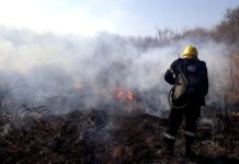 La Municipalidad de Salta intervino ayer en diversos incidentes ocasionados por el viento
