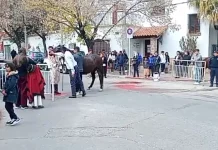 Tras la muerte de “Chuequito”, marcharon contra el maltrato animal y de caballos