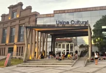 Semana Cultural en Salta: Arte, Reflexión y Movimiento