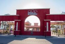 El Parque del Bicentenario celebrará el Día de las Infancias con dos jornadas llenas de juegos, shows y feria