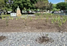 La Municipalidad ejecuta tareas de parquización en espacios verdes en Salta