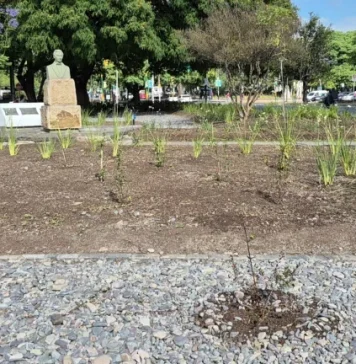 La Municipalidad ejecuta tareas de parquización en espacios verdes en Salta