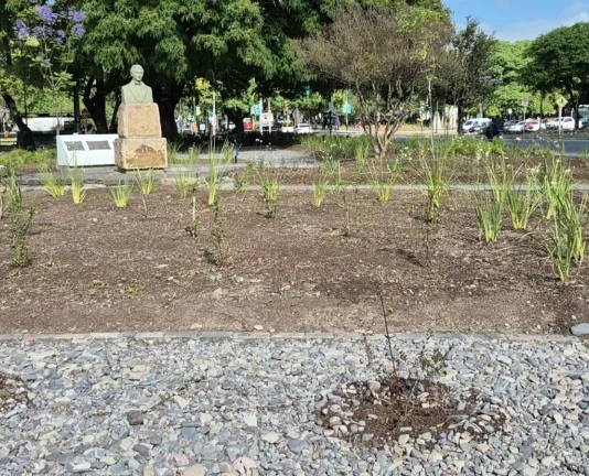 La Municipalidad ejecuta tareas de parquización en espacios verdes en Salta