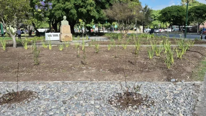 parquizacion-de-espacios-verdes-3-768x432