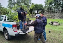 Salta: Colocaron más de 200 árboles en el Ecoparque y en el parque Los Sauces