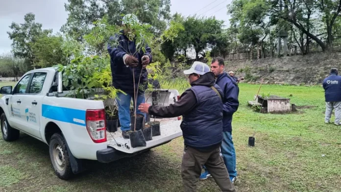 plantacion-comunitaria-parques-6-768x432