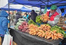 Salta: “El Mercado en tu Barrio” se instalará en Roberto Romero