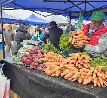 Salta: “El Mercado en tu Barrio” se instalará en Roberto Romero