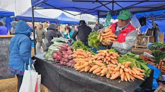 images - 2025-11-07T121512.433