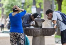 “Semana sofocante en Salta”: advierten máximas de hasta 34°