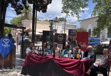Salteños y turistas podrán disfrutar del “Finde largo del vino Argentino”