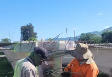 Avanza la construcción del nuevo puente sobre el río Vaqueros