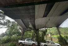 Temporal en Aguas Blancas: corte de luz, voladura de techos y caída de árboles