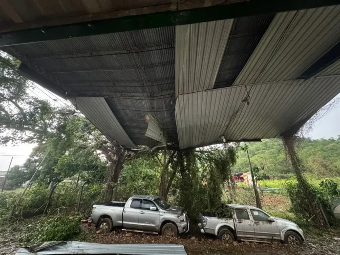 multimedia.normal.a1963ec1c96d58fa.bm9ybWFsLndlYnA=