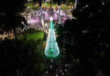 Salta: Fue encendido el tradicional arbolito navideño en la plaza 9 de Julio