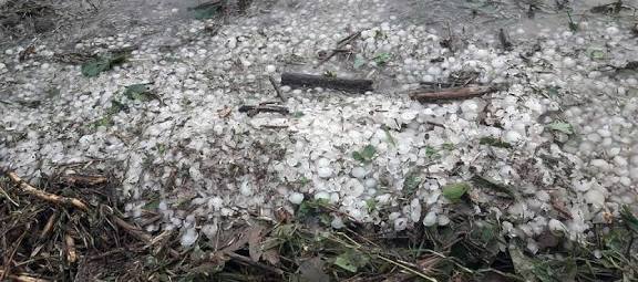 images - 2025-12-01T134329.689