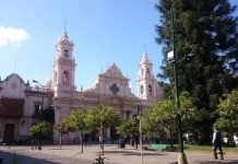 Hombre amenaza con hacer lo peor en Plaza 9 de Julio: se subió a un árbol
