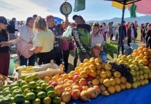 El Mercado en tu Barrio estará presente en la Expo Ciudad con grandes ofertas