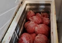 El lado B de la carne en el norte salteño: Faena ilegal y venta por redes sociales