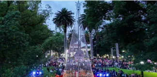 Hoy se prende el arbolito de Navidad en Plaza 9 de Julio