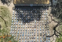 Golpe histórico al contrabando en Salta: Más de 5 toneladas de coca incautadas en un camión