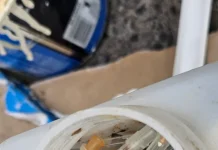 Salta: Clausuran una veterinaria por arrojar residuos patógenos en la vía pública