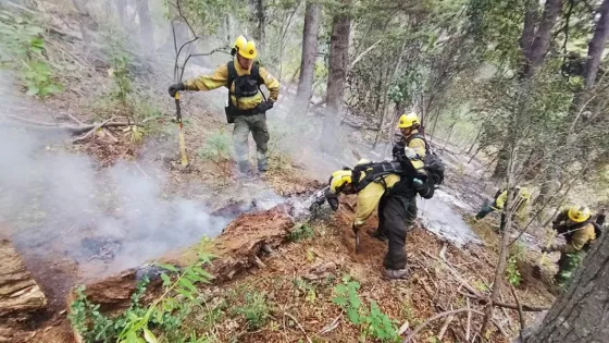 106103-brigadistas-saltenios-prosiguen-con-los-operativos-de-sofocacion-de-incendios-forestales-en-chubut