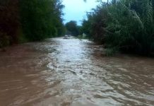Salta: Vialidad Nacional informo el estado de la Ruta 68 después del temporal