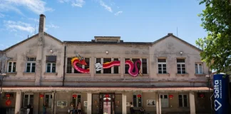 Salta vive el Año Nuevo Chino y te espera toda la semana con variadas actividades