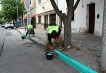 Estacionamiento gratuito: se llegaron a las 100 cuadras verdes en la ciudad de Salta
