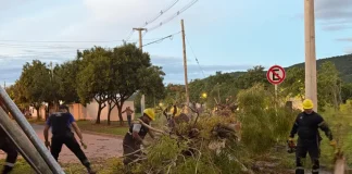 La Municipalidad de Salta intervino ayer en 54 incidentes por la lluvia