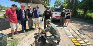 Gendarmería Nacional incautó más de 65 kilos de cocaína de una camioneta sobre la RN 34