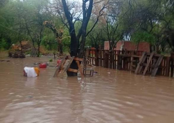 images - 2026-03-16T174631.933