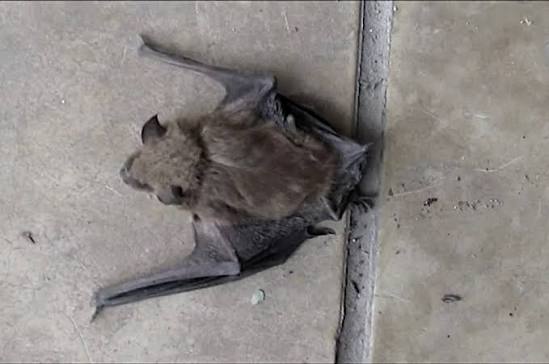 images - 2026-03-31T134058.312