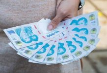 Cuál es el instrumento de ahorro en pesos más eficaz para ganarle a la inflación y por qué creció su uso