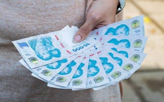 Cuál es el instrumento de ahorro en pesos más eficaz para ganarle a la inflación y por qué creció su uso