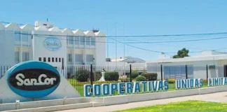 Quiebra de Sancor: 6 empresas locales y extranjeras compiten por comprar lo que queda del gigante lácteo