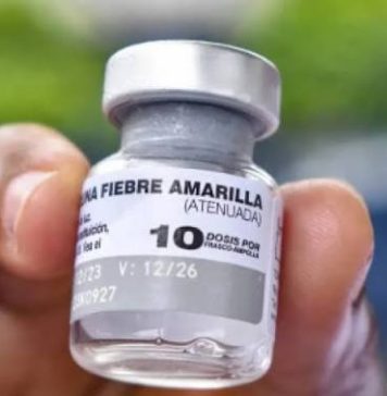 Salta recibe 20 mil dosis de vacunas contra la fiebre amarilla tras brote detectado en Bolivia