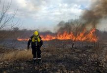 Advierten que casi el 100% de los incendios forestales en Salta son provocados por la mano del hombre