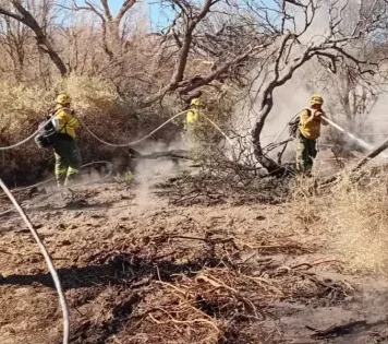 Intensificaron los trabajos de lucha contra los incendios en Cafayate