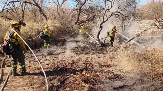21025-intensificaron-los-trabajos-de-lucha-contra-los-incendios-en-cafayate