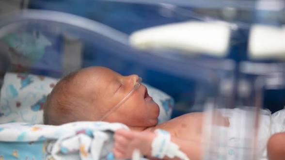 images - 2026-06-01T124111.637