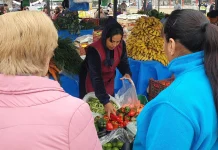 “El Mercado en tu barrio” llega al Delmi con precios imperdibles y servicios municipales