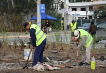 San Luis: el municipio ejecuta tareas de parquización y prevención de incendios