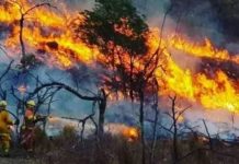 Alerta por vientos e incendios forestales en la ciudad de Salta durante los próximos días